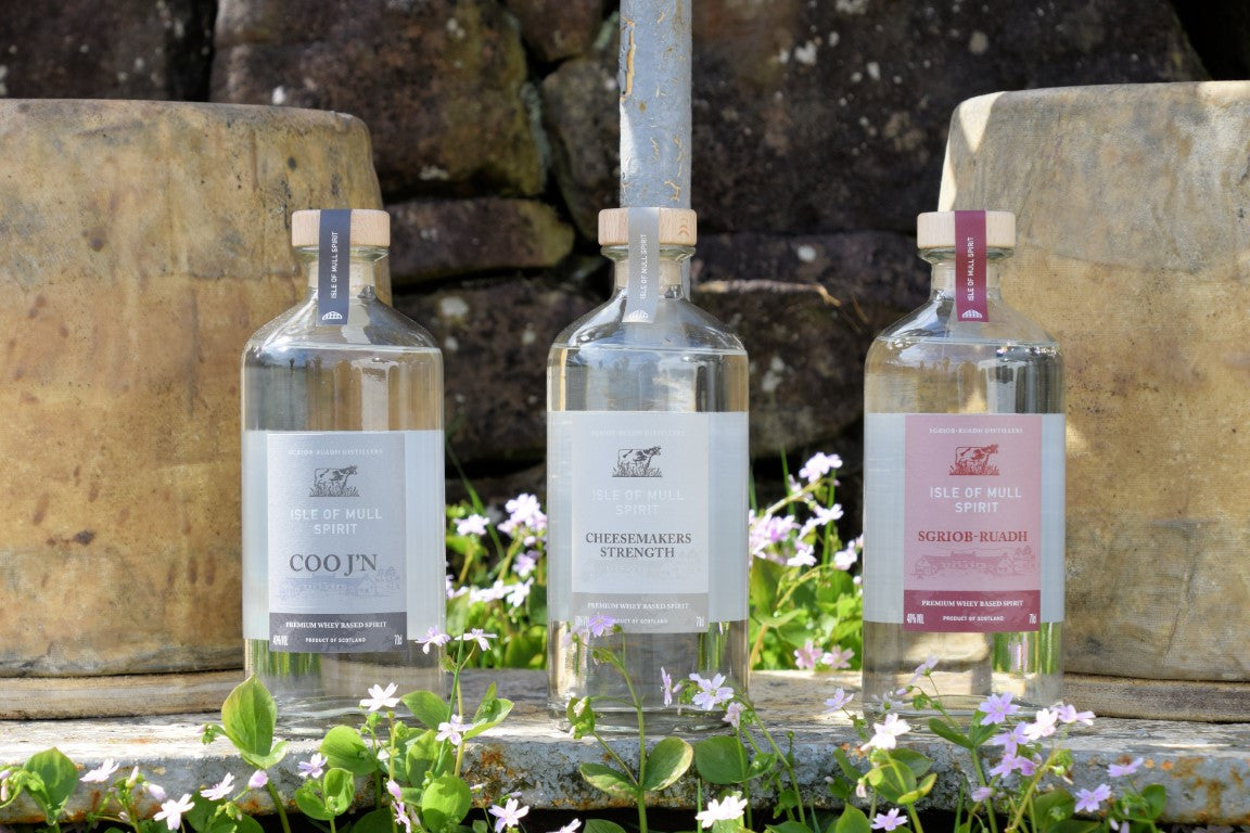 Mull Cheese and Whey Spirit with a Cheese press 01